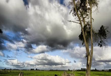 卡塞米罗本场11对抗6成功 3抢断2拦截+4成功长传 获评7.0分.