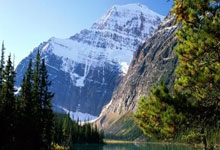 奇异果体育官网:东契奇为一众球迷耐心签名!汤爹:还有哪位超级巨星能做到?.