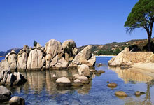 奇异果体育官网:德甲-吉拉西破门阿德耶米建功 多特蒙德2-0圣保利.